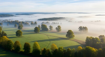 Fototapeta premium Aerial view of a foggy morning landscape. Climate and nature atmosphere. Lush green meadows and forests covered in thick rolling mist at sunrise