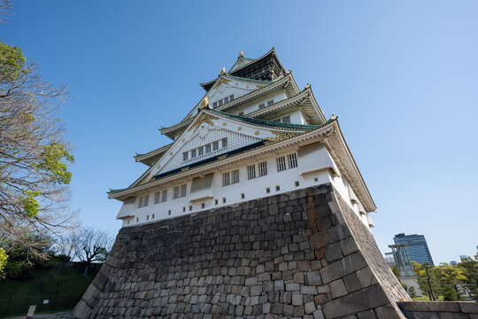 Historic Osaka Castle rises above its stone walls and moat beneath a clear blue sky in Osaka, Japan. A scenic travel destination framed by trees in early spring.
