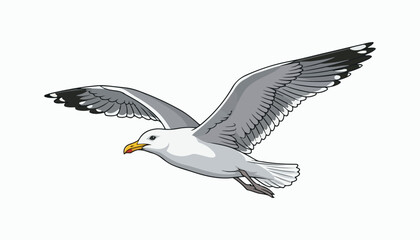 Obraz premium seagull bird clipart vector illustration