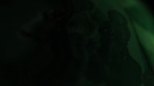 Malachite stone texture, extreme close up. Macro video of polished green stone with typical band patterns. Moving textures on black background