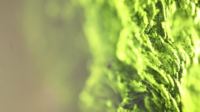 Moldavite gemstone extreme close up. Precious tektite from the Czech Republic. Green jagged alien surface texture. Sculptation. Light flicker. Extraterrestrial