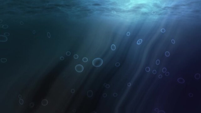 海の中のイメージ