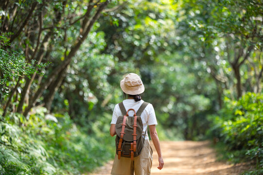 Hiker with backpack walking through lush forest