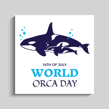 World Orca Day Social Media Instagram Post Banner Template
