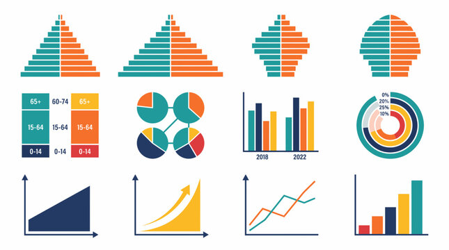 Data visualization charts and population pyramid graphics.