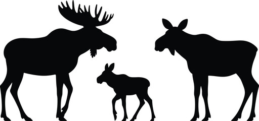 Fototapeta premium Silhouette of a bull moose with large antlers a cow moose and a calf moose on white Keywords: moose, bull moose, cow moose, calf moose, animal, wildlife, silhouette