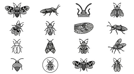 Assorted insect and beetle line art sketch set. © Muh