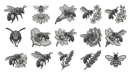 Black and white honey bee and flower icons. © Talefi