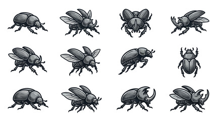 Black beetle species and insect collection set. © Talefi
