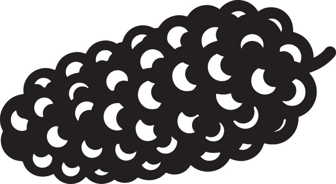 Fresh sweet delicious mulberry fruit vector illustration design.
