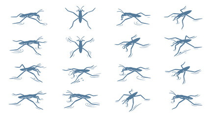 Blue water strider insect icon sketches © Talefi