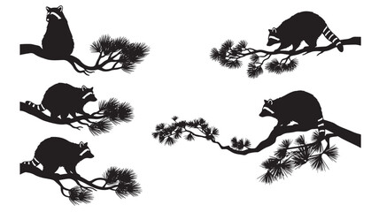 Raccoon Silhouette Wildlife Vector Set with Pine Branch Shapes and Detailed Black Ink Style for Decor © Harry 