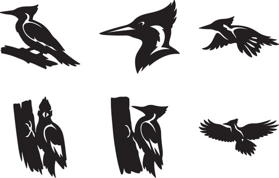 Ivory billed woodpecker silhouette vector different style