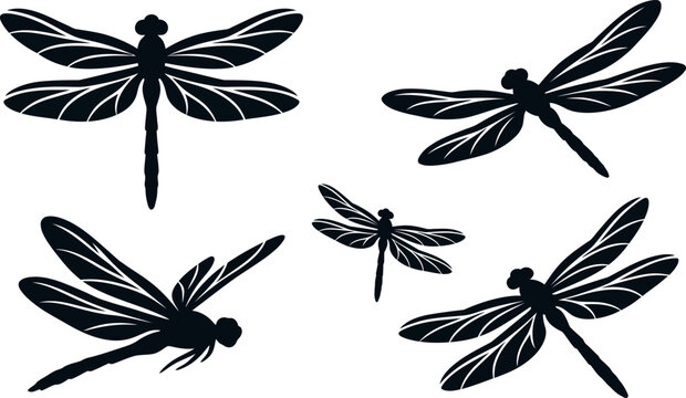 Collection of black dragonfly silhouettes