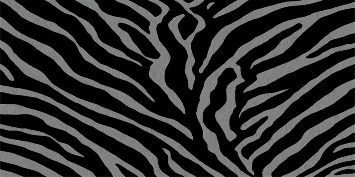 Seamless black and white striped zebra skin texture and wildlife animal fur pattern for nature background design