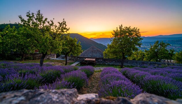 _Stunning landscape with lavender field at sunset