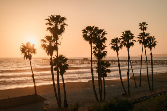 The pier and palm trees at sunset in San Clemente, California