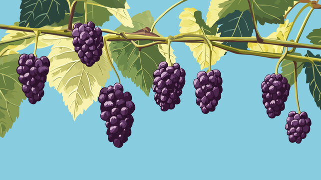 A cluster of seven purple grapes hangs from a thin vine with dark and light green leaves against a light blue sky, displaying soft shadows and idealized botanical detail