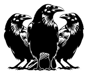 Obraz premium Raven trio standing together in high contrast graphic style