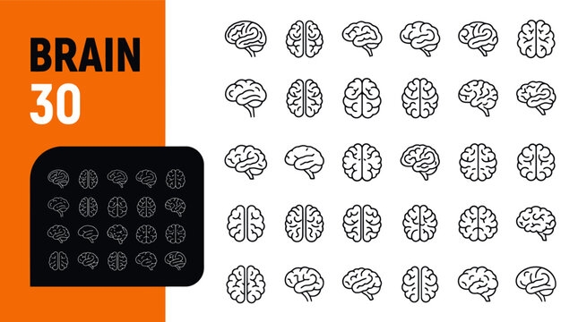 Brain line icons set human brain anatomy symbols collection
