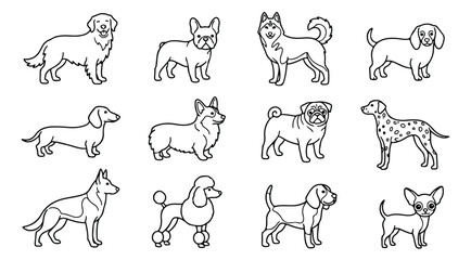 Diverse dog breeds vector collection, 12 unique canine illustrations, black and white outline pet icons for animal lovers and veterinary design, cute domestic animal graphics © Caleb
