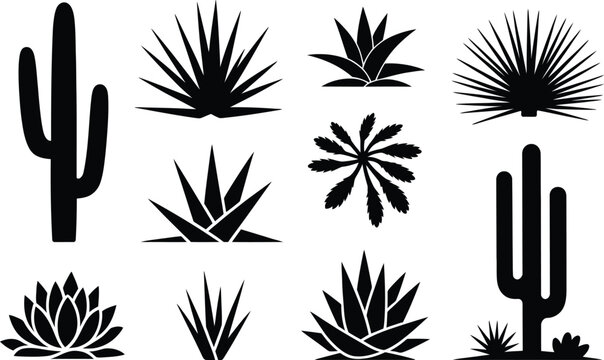 Desert plant and cactus collection silhouettes with silhouette succulent botanical collection isolated southwest landscape environment minimalist decoration xeriscape tropical