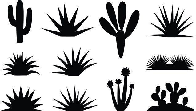 Set of various desert cacti and succulent silhouettes with succulent silhouette botanical collection isolated southwest landscape environment minimalist decoration xeriscape tropical