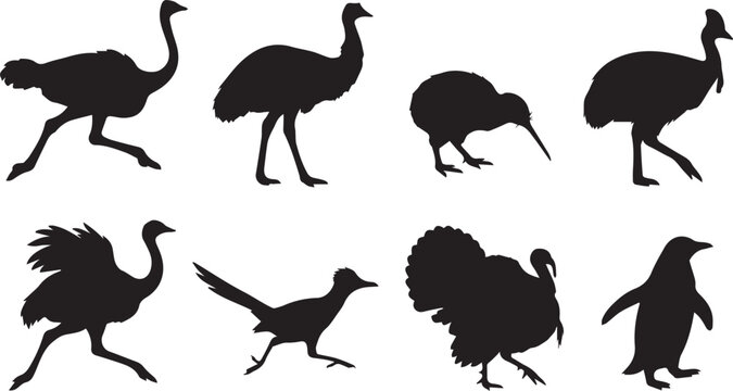 Vector collection of flightless bird silhouettes including ostrich kiwi penguin and turkey on white background