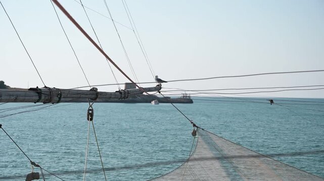 gabbiamo appoggiato sull'asta in legno di un antico trabucco sulle coste del gargano in Puglia