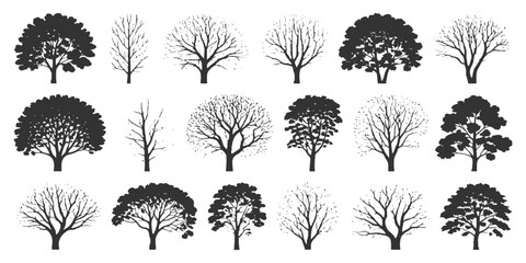Set of black tree silhouettes with and without leaves isolated on white background vector illustration. © Artful