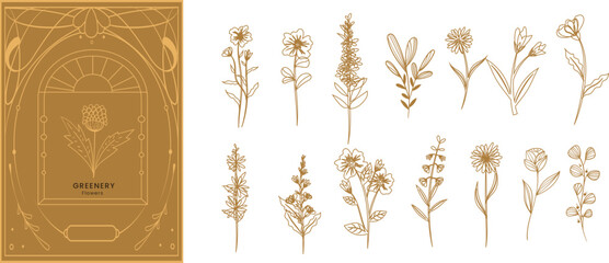Set of boho simple geometric branch and flowers. Botanic design elements in wavy and vintage style. Leaves and branches greeting card. Vector illustration © SahedAhsan
