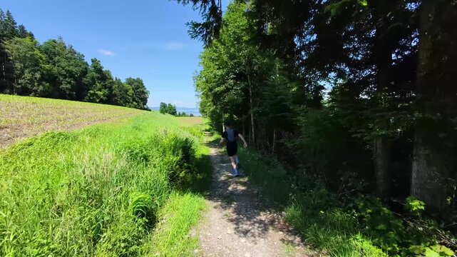 A trail runner follows a narrow path across rolling green meadows surrounded by forests and rural farmland in Switzerland. Ideal for concepts of fitness, adventure, and outdoor recreation.