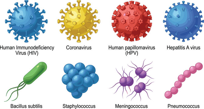 Vector Illustration Set of Diverse Human Virus Cells and Bacteria Microorganisms for Educational Medical Diagrams