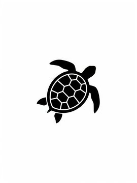 turtle on a white background