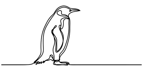 Minimalist continuous single line drawing of a penguin standing isolated on a white background Vector, illustration © Nano Creator
