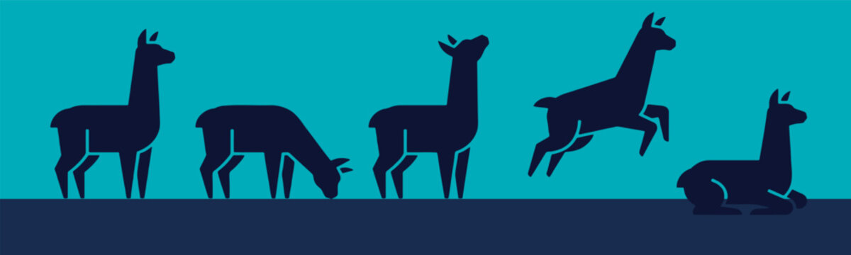 Llama silhouettes in various poses: standing, grazing, jumping, and resting, against a blue background.