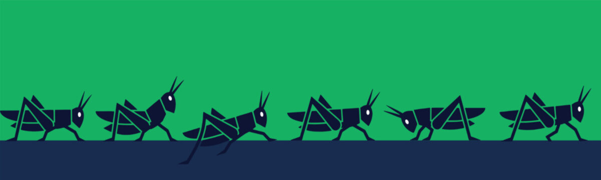 Illustration of a row of grasshoppers walking on a dark surface with a green background.