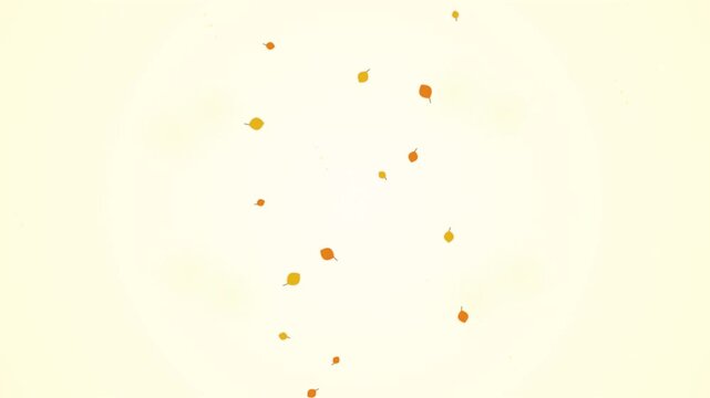 Minimalist Autumn Leaves Falling Against a Cream White Background