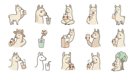 Fototapeta premium Adorable llamas drinking bubble tea and milkshakes characters.