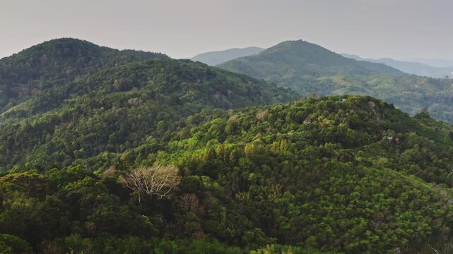 Lush green hills and dense forest cover the landscape of Phuket island, showing the natural beauty and tropical environment. Thailand wild nature travel destination. Aerial view drone flight panorama