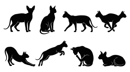 Fototapeta premium Elegant collection of various cat silhouettes showcasing different feline poses including jumping, running, sitting, and stretching in a minimalist art style. isolated on white background PNG