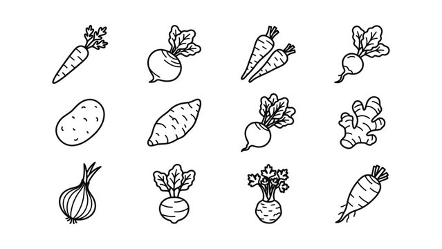 Hand Drawn Root Vegetable Icons Carrot Beet Potato Onion Ginger Sweet Potato Celery Root Radish