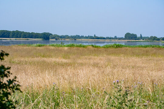 Scenic Waterland Habitat Landscape at Skylarks Nature Reserve in Nottingham, UK