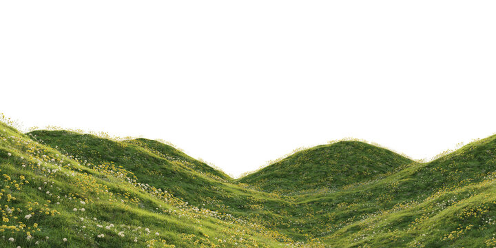 Wildflower meadow terrain with dandelions isolated on transparent background. 3D rendering.