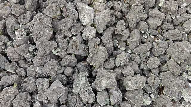 Macro Shot of Volcano Lava Rock Texture with Light Green Lichen