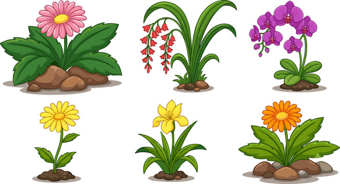 Vector set of beautiful colorful garden flowers and potted plants with rocks and soil, isolated on a white background.