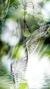 A clock and DNA helix reflected in calm water. Green shapes blend with the background, creating a sense of time and life.