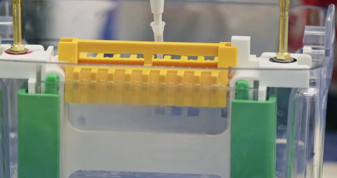 Using a thin nozzle, DNA is introduced into the cells of an acrylamide gel, and DNA molecules are separated using electrophoresis.