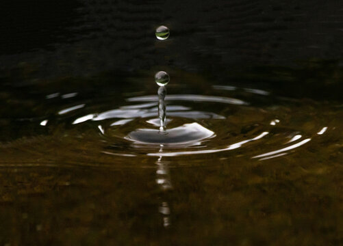 A Single Raindrop Splashing in a Pond