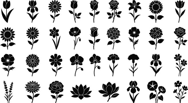Large set of flower silhouette vector icons showing rose tulip sunflower daisy and lotus botanical elements